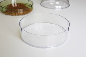 Papier buvard bioSnacky