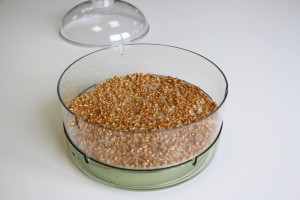 Graines bioSnacky papier buvard