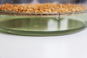 Eau coupelle bioSnacky