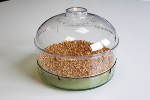 Couvercle sur le germoir bioSnacky