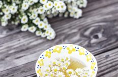 infusion tisane