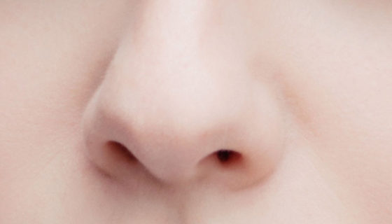 RÃ©sultat de recherche d'images pour "nez"